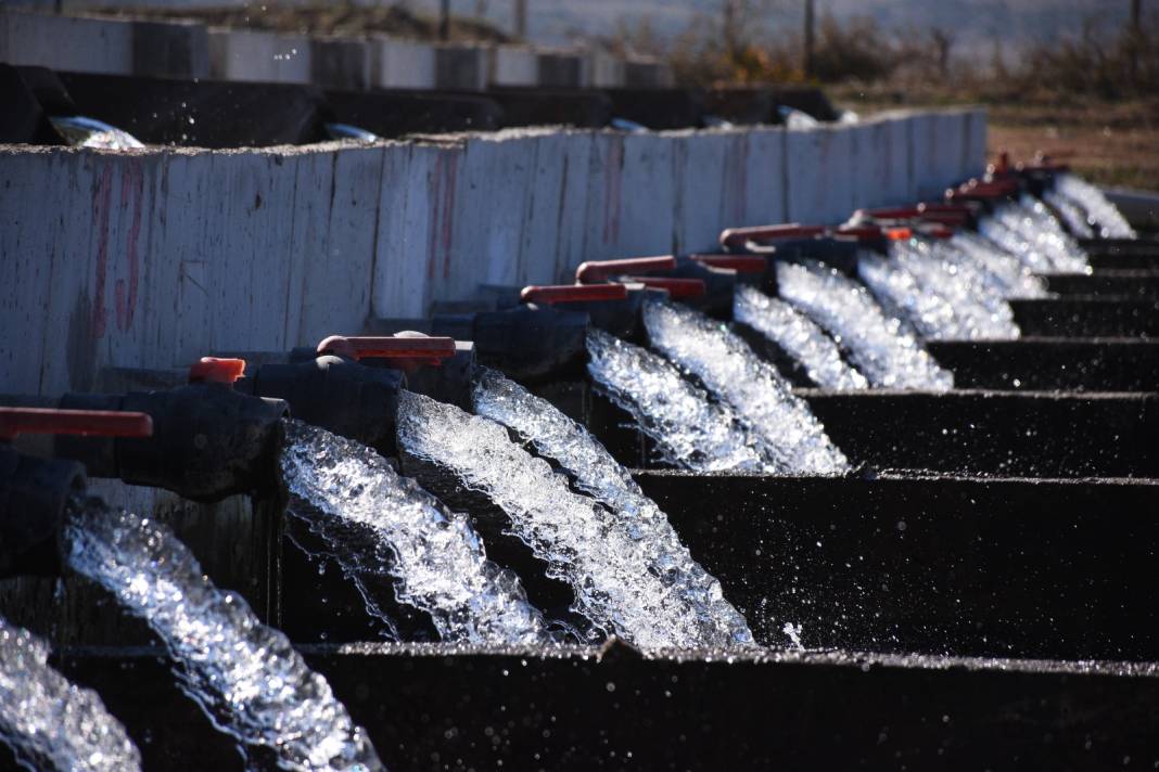 Denizi olmayan köyden 10 ülkeye balık yolladılar 6